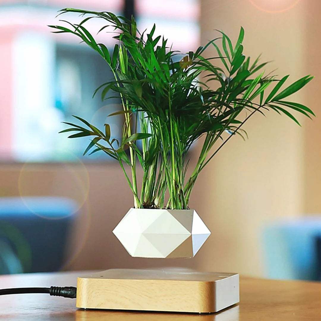 Levitating Air Bonsai Pot