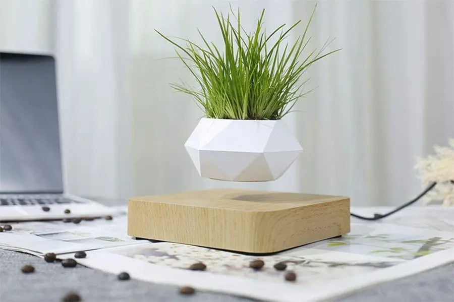 Levitating Air Bonsai Pot